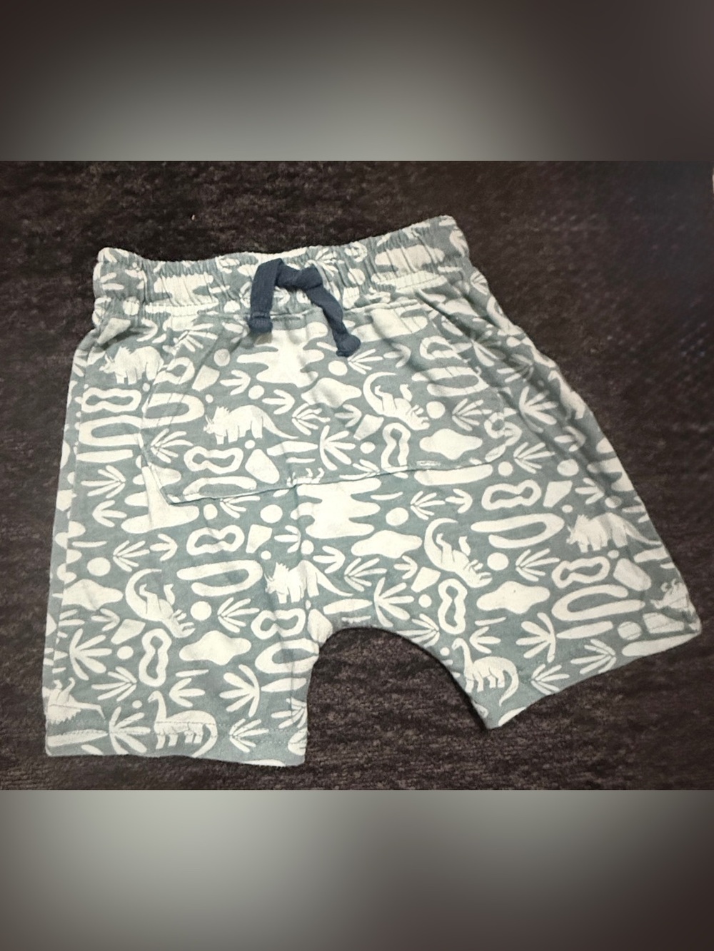 Toddler Boys Light Green/Sage Shorts with Front Pocket